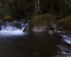 Río savegre