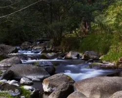 Río savegre