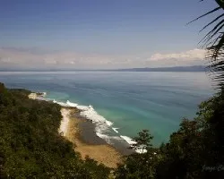 Playa matapalo