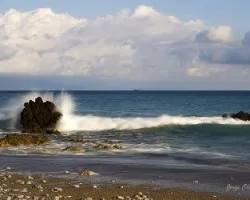 Playa matapalo