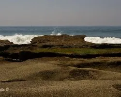 Playa matapalo