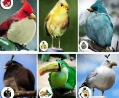 Identificacion