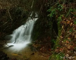 La cueva del duende