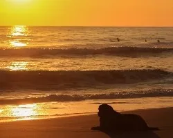 Atardecer