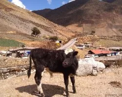 Valle de mifafí
