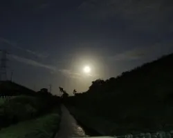 Luna