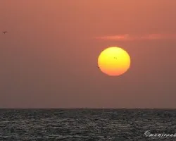Atardecer