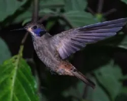 Danzando en el aire 