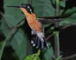 Colores en el aire