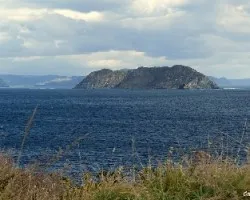 La colorada