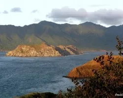 Isla pelada