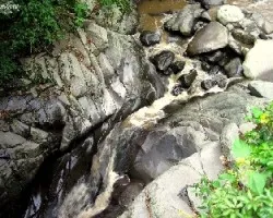 Río birrís