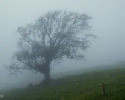 Paisaje difuso