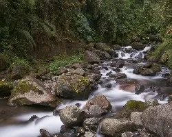 Agua