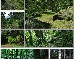 Mosaico de senderos por recorrer