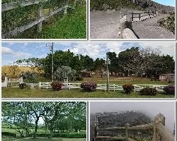 Mosaico de cercas