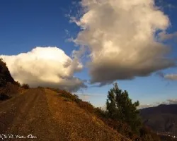 Un paseo al alto