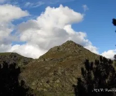 Un paseo al alto