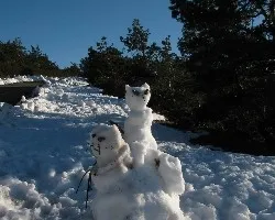 Jugando con la nieve