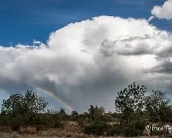 Después de la lluvia
