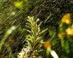 La lluvia