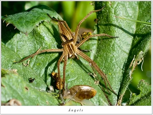 Sant Cugat Del Vallés