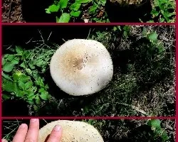?????