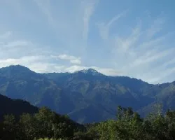 Pico bolívar