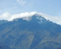 Pico bolívar