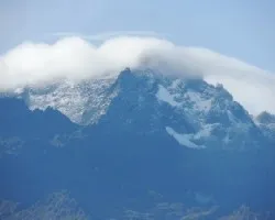 Pico bolívar