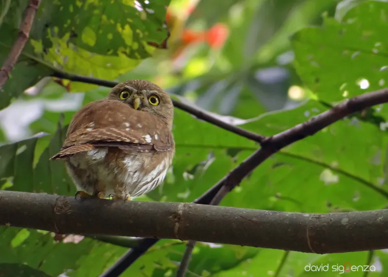 Parque Del Bicentenario, San Salvador.