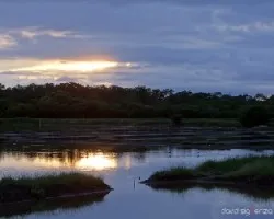 Reflejos