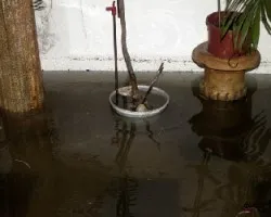 Mi casa