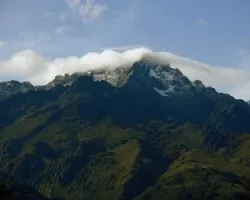 Pico bolívar