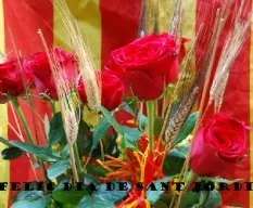 Sant jordi
