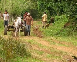 Jornaleros