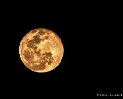 Luna de hoy