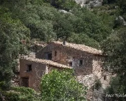 Mas de la franqueta
