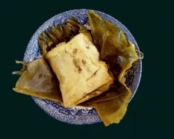 Sylvilagus floridanus