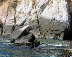 Piedra del perro 