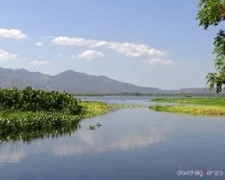 Sierra de jucuarán