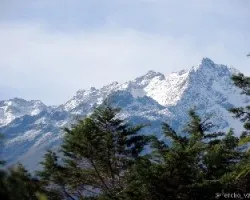 Sierra nevada