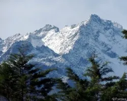 Pico bolivar