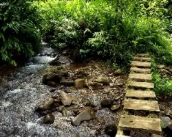 Puente rústico