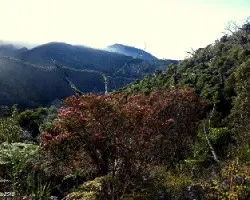 En el páramo