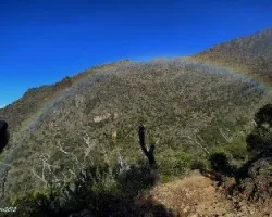 Arco efímero