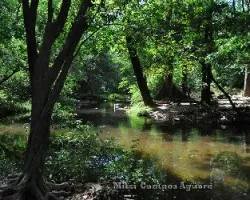 Cataratas de Llanos de Cortész, Guanacaste