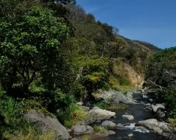 Río de jocotal  i