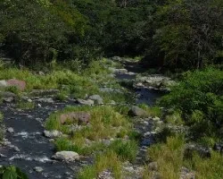 Río de jocotal  ii