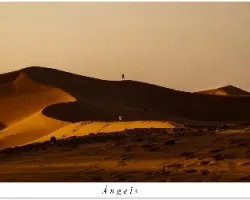 Dunas